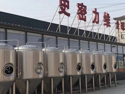 湾里精酿啤酒设备厂—如何判断精酿啤酒设备的密封件需要更换？